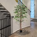 Miniatyrbillede 2 af 8: Kunstig Ficus Træ, 65x7x6 tommer, Grøn