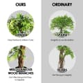 Miniatyrbild 7 av 8: Konstgjord bonsai, 5 fot Keel Red VineGreen Leaves, Grön