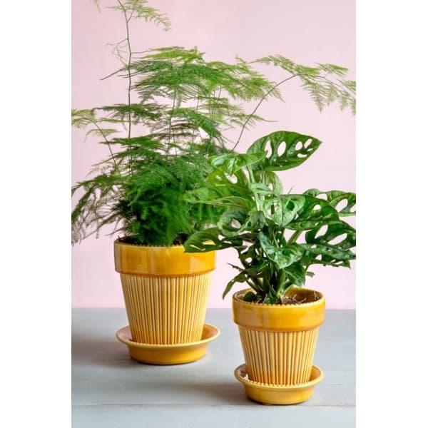 Simona Pot Yellow, Ø 18cm - Bergs Potter