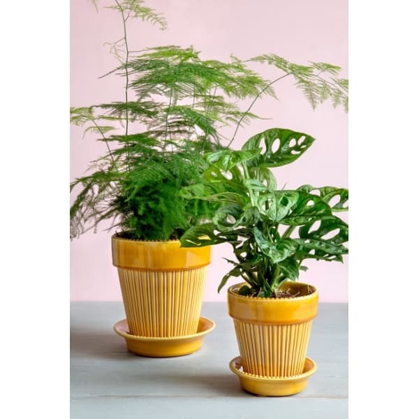 Simona Pot yellow ø 12 cm - Bergs Potter