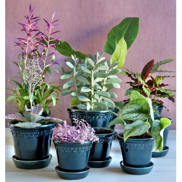 Copenhagen Pot blue ø 12 cm - Bergs Potter