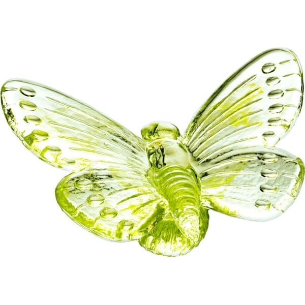 Papilio Green - Vas Vitreum