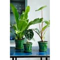Miniatyrbillede 2 af 2: Copenhagen Pot Green, Ø 18cm - Bergs Potter