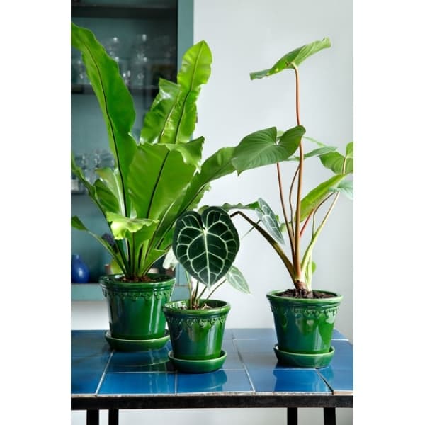 Copenhagen Pot Green, Ø 18cm - Bergs Potter