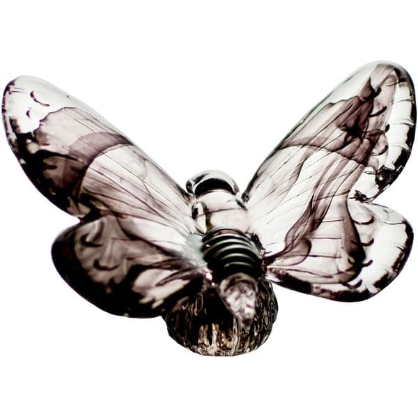 Papilio Black - Vas Vitreum