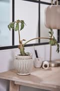 Miniatyrbild 7 av 9: FURNLUX BURK ELLIA BEIGE 6CM