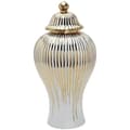 Miniatyrbillede 1 af 2: Dekorativ krukke, elegant midtpunkt, funktionel opbevaring,6.30x6.30x11.81tommer