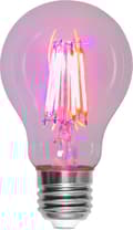 Miniatyrbild 4 av 5: LED-LAMPA E27 A60 PLANT LIGHT