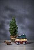 Miniatyrbild 2 av 8: Bordsdekoration Billy. Merry Xmas