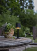 Miniatyrbild 3 av 10: Solcellsdekoration Parvus Decor Light