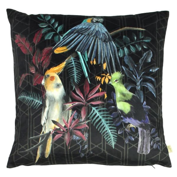 Evans Lichfield Zinara Bird kuddfodral Multicoloured 43cm x 43cm