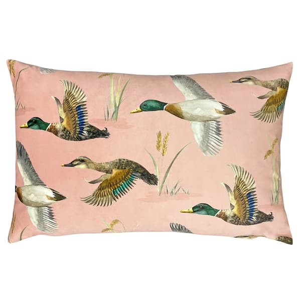 Evans Lichfield Country Duck Cushion Cover Blush One Size
