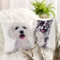 Miniatyrbild 3 av 3: ANIMAL KUDDVALL 68 45 X 45 CM VIT