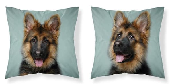 Pudebetræk 40x40 Shepherd Microfiber
