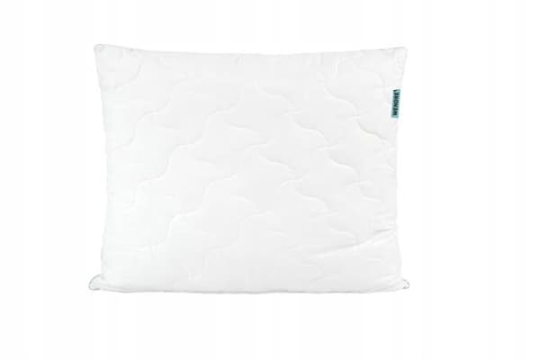 Allergiaa ehkäisevä unityyny Aloe Vera 70x80 cm