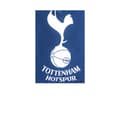 Miniatyrbillede 2 af 2: Tottenham Hotspur FC Officiel pude i Crest-design