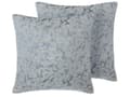Miniatyrbillede 1 af 8: Pyntepudesæt 2 stk Grå Polyester 45x45 cm Glam Moderne Design Firkantet Pyntepuder Pyntepude Lysegrå Puder Pude Sæt Pudebetræk Stue Indretning