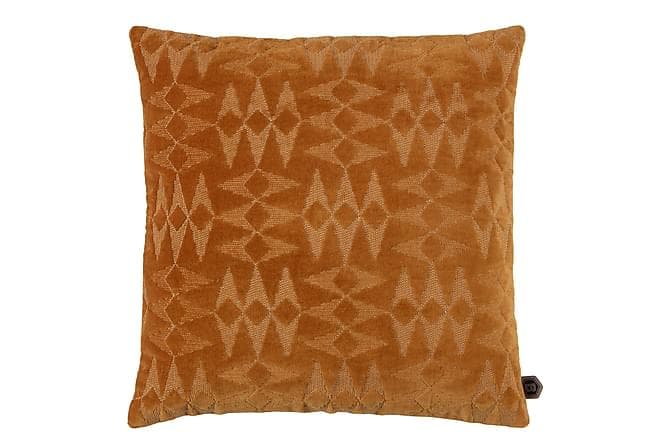 Pane Pyntepude 45x45 cm Brun/Velour