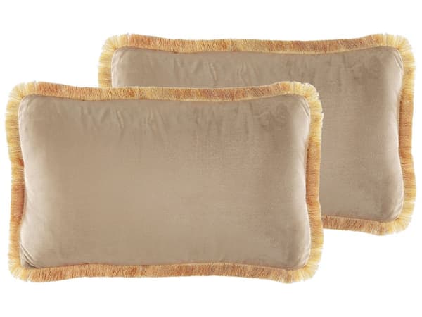 Sæt med 2 puder Beige Fløjlsbetræk 30 x 50 cm Pyntepuder Stueindretning