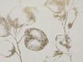 Miniatyrbillede 7 af 7: Pyntepuder Beige Guld Polyester Sæt 45 x 45 cm Små Firkantede Mønstrede Sofapuder til Stuen og Soveværelse Design Botanisk Blomster Tilbehør