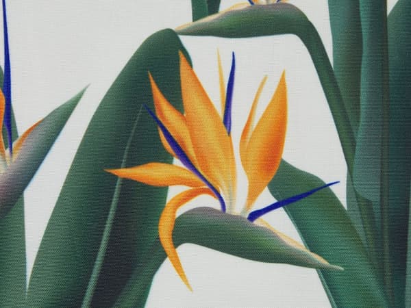Sæt med 2 Pyntepuder i Botanisk Mønster 45 x 45 cm