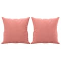 Miniatyrbillede 1 af 8: vidaXL pyntepuder 2 stk. 40x40 cm velour lyserød
