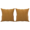 Miniatyrbillede 2 af 8: vidaXL pyntepuder 2 stk. 40x40 cm velour brun