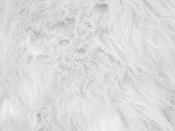 Pyntepuder Hvid Polyester 45 x 45 cm Pelspuder Imiteret Lammeskind Puder til Stuen Design Sofapuder Tilbehør til Soveværelse Indretning