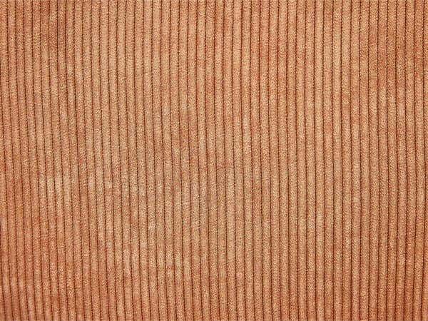 Sæt med 2 Lysebrune Pyntepuder Fløjl 43 x 43 cm Moderne Traditionelle Stuepuder til Soveværelse
