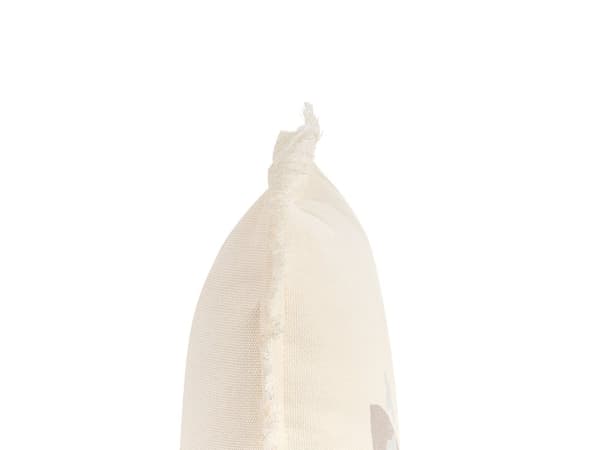 Koristetyyny vaalea beige 60 x 60 cm lintukuvio hapsuilla minimalistinen moderni tyyli