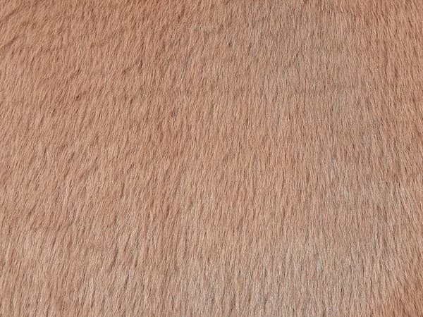 Sæt med 2 pyntepuder beige og lysebrun 54 x 54 cm pyntepude med blødt polyesterfyld til sovesofa moderne stil