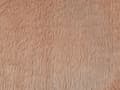 Pikkukuva 6 / 7: Koristetyyny beige vaaleanruskea 54 x 54 cm 2 kpl kangas rastin muotoinen moderni