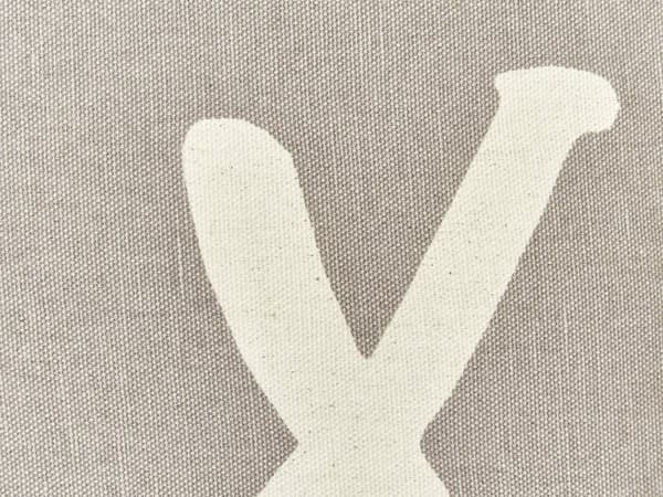 Sæt med 2 pyntepuder i grå bomuld 45 x 45 cm Puder med tekst XO-mønster trykt stue værelse