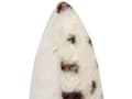 Miniatyrbillede 6 af 7: 2 pyntepuder Lys beige kunstpels 45 x 45 cm behåret blød pels