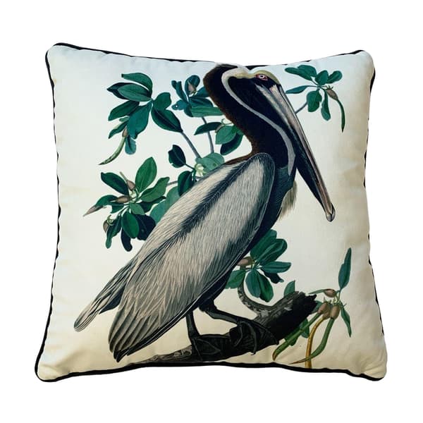 John James Audubon Brun pelikan fylld kudde
