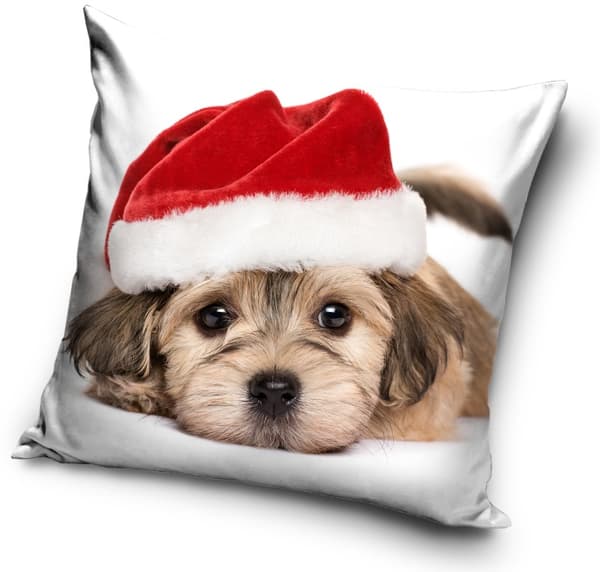 Hund med tomteluva Jul kuddskydd 40 x 40 cm