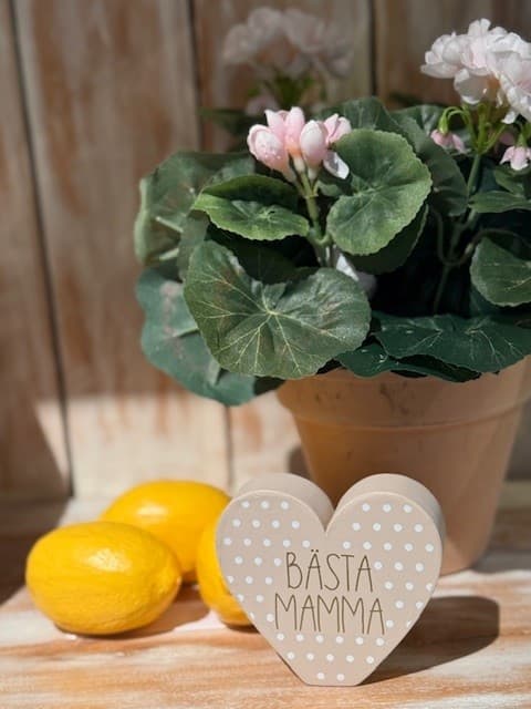 Morsdag stående hjärta m texten Bästa Mamma Rosa m prickar