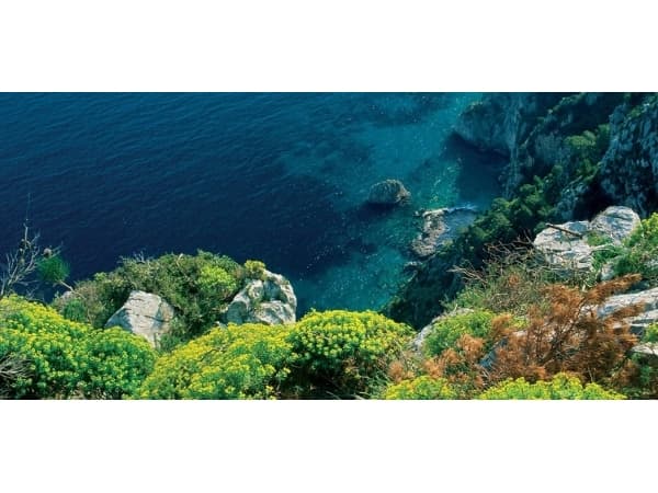 Acqua di Parma Blu Mediterraneo Bergamott från Kalabrien 75ml