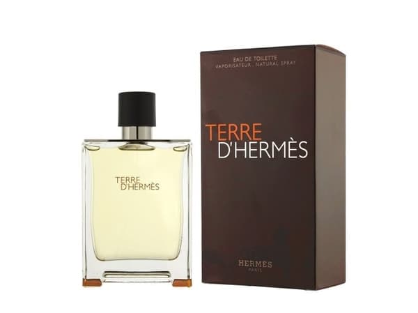 Hermes Terre D'Hermes Edt Spray 100 ml Men