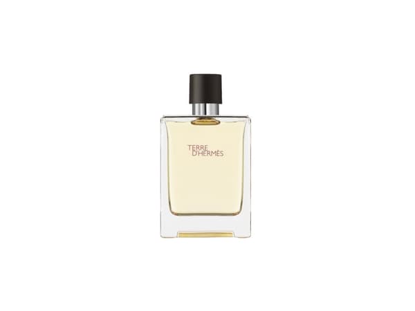 Hermes Terre D'Hermes Edt Spray 100 ml Men