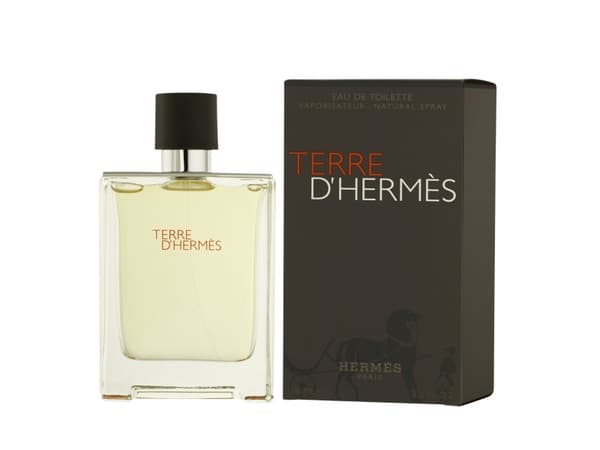 Hermes Terre D'Hermes Edt Spray 100 ml Men