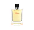 Miniatyrbilde 1 av 5: Hermes Terre D'Hermes Edt Spray 100 ml Men