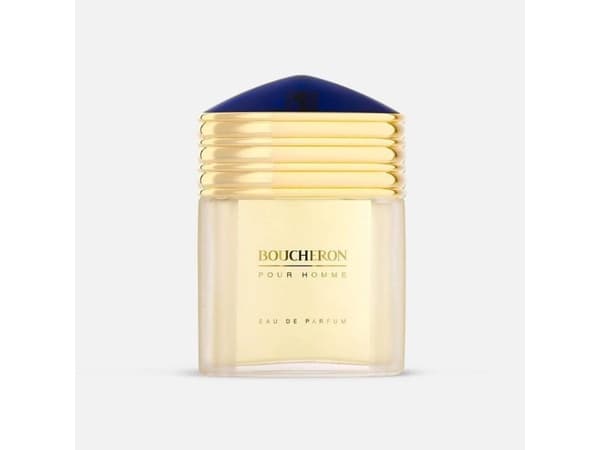 Boucheron Pour Homme 100 ml, Mænd, Edp