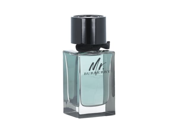 Burberry Mr. Burberry EDT 100ml Men