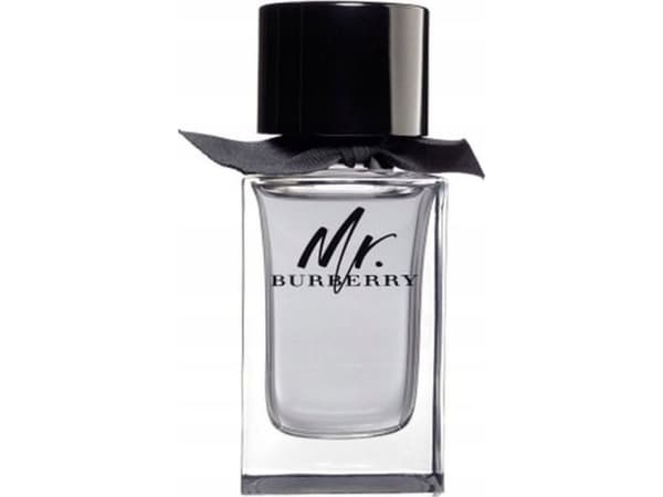 Burberry Mr. Burberry EDT 100ml Men