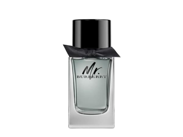 Burberry Mr. Burberry EDT 100ml Men