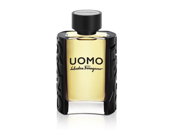 Salvatore Ferragamo Uomo 100 ml, Mænd,