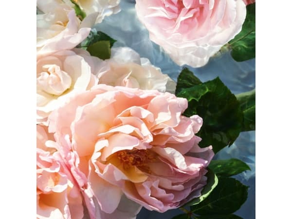 Guerlain Aqua Allegoria Red Rose EDT spray 125ml