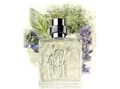 Miniatyrbild 2 av 5: Cerruti 1881 for Men EDT M 100 ml