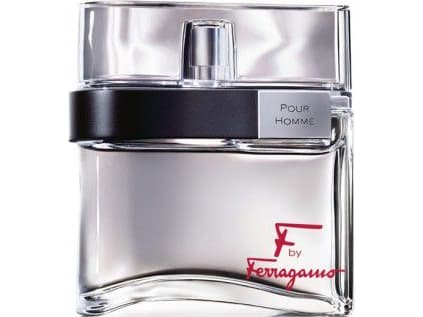 Salvatore Ferragamo "F" 100 ml, Män,
